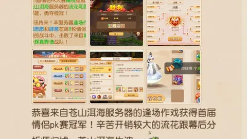 心桥融通，归途相伴：两岸青年携手共鸣 新华网深度报道
